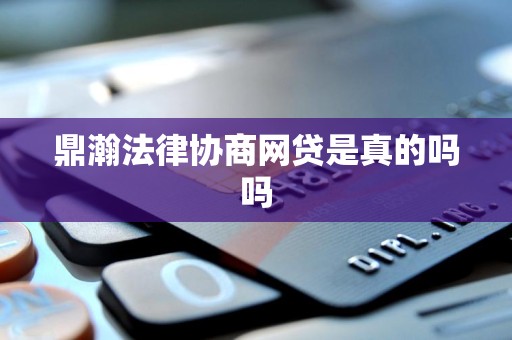 鼎瀚法律协商网贷是真的吗吗