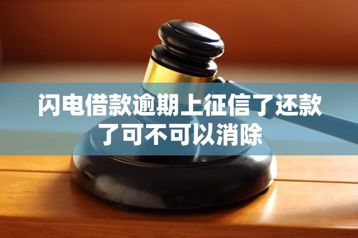 闪电借款逾期上征信了还款了可不可以消除