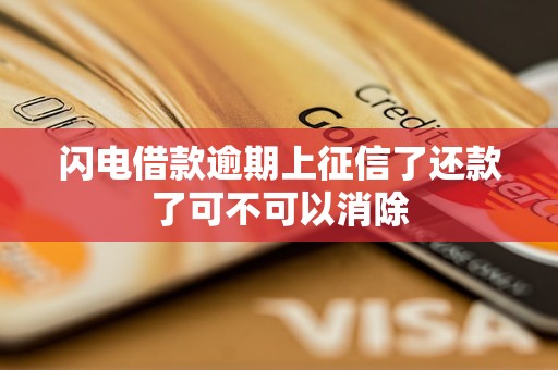 闪电借款逾期上征信了还款了可不可以消除