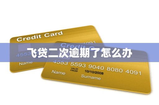 飞贷二次逾期了怎么办