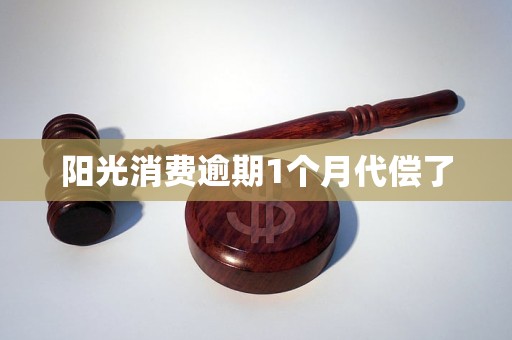 阳光消费逾期1个月代偿了