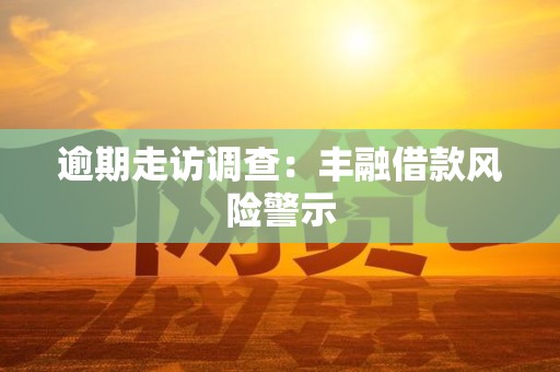 逾期走访调查：丰融借款风险警示