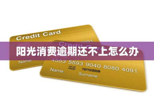 阳光消费逾期还不上怎么办
