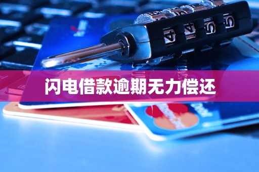 闪电借款逾期无力偿还