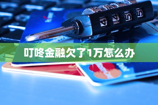 叮咚金融欠了1万怎么办