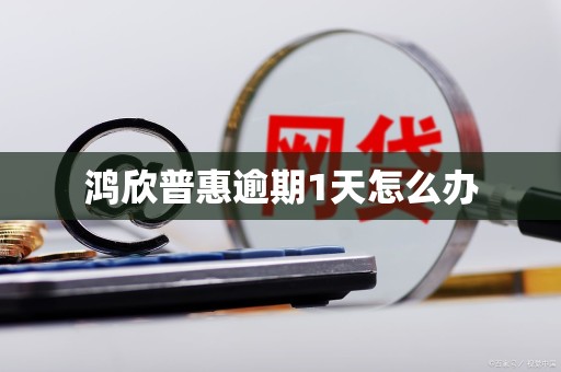 鸿欣普惠逾期1天怎么办