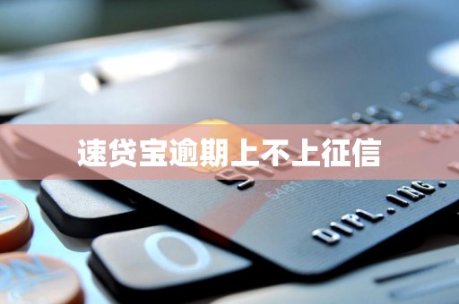 速贷宝逾期上不上征信
