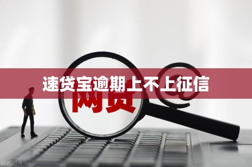 速贷宝逾期上不上征信