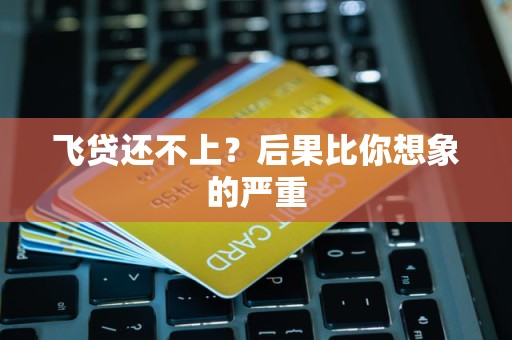 飞贷还不上？后果比你想象的严重