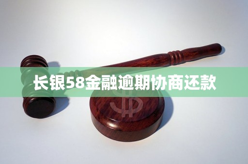 长银58金融逾期协商还款