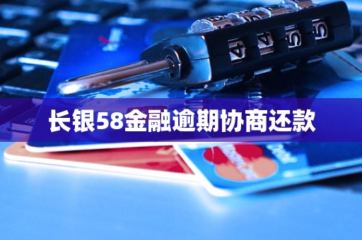 长银58金融逾期协商还款