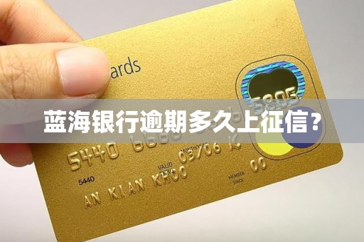 蓝海银行逾期多久上征信？