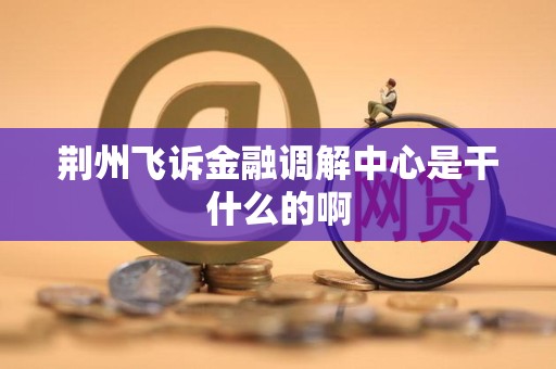 荆州飞诉金融调解中心是干什么的啊