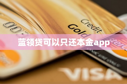 蓝领贷可以只还本金app