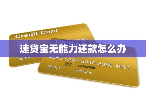 速贷宝无能力还款怎么办