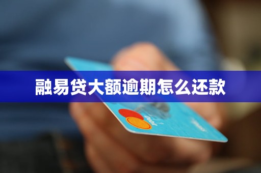 融易贷大额逾期怎么还款