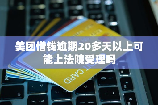 美团借钱逾期20多天以上可能上法院受理吗