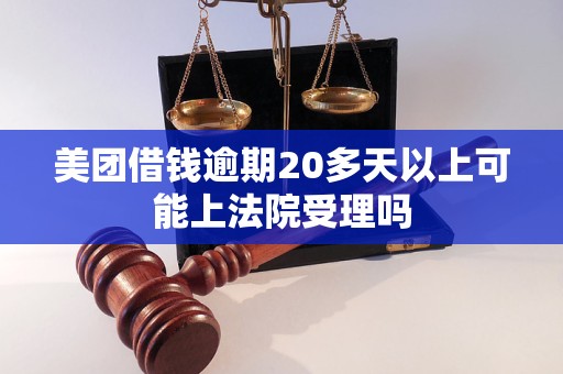美团借钱逾期20多天以上可能上法院受理吗