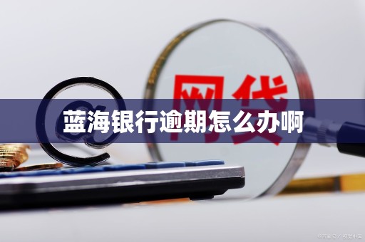 蓝海银行逾期怎么办啊 蓝海银行逾期怎么办啊