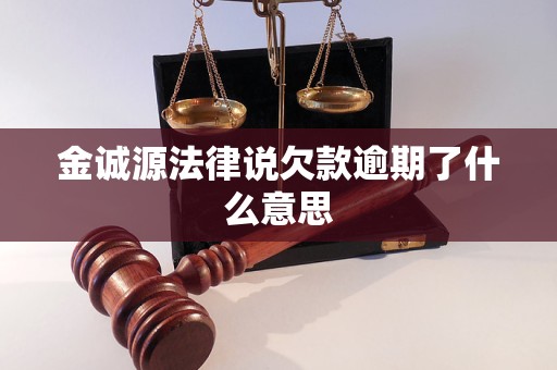 金诚源法律说欠款逾期了什么意思