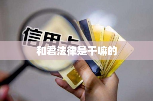 和君法律是干嘛的