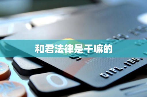 和君法律是干嘛的