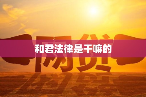 和君法律是干嘛的