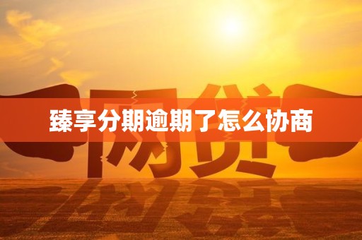 臻享分期逾期了怎么协商