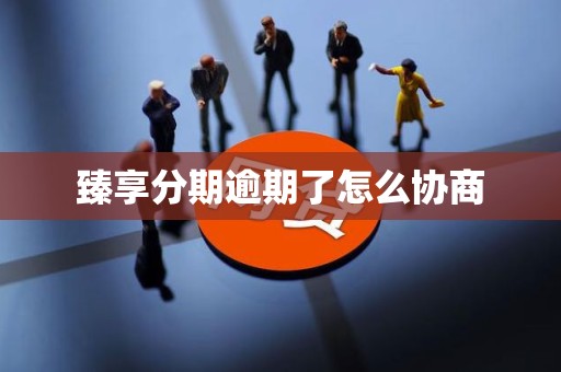 臻享分期逾期了怎么协商