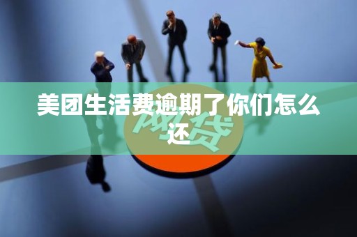 美团生活费逾期了你们怎么还 美团生活费逾期了你们怎么还