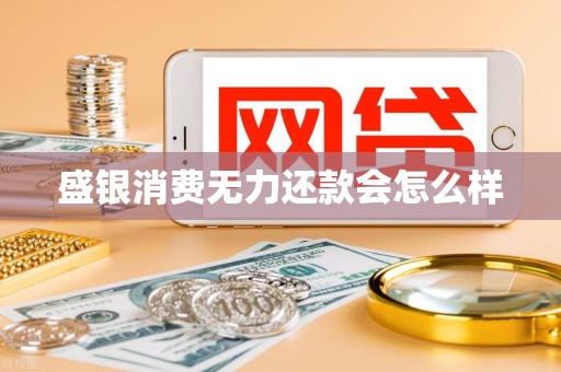 盛银消费无力还款会怎么样