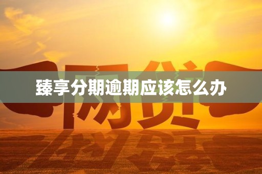 臻享分期逾期应该怎么办 臻享分期逾期应该怎么办