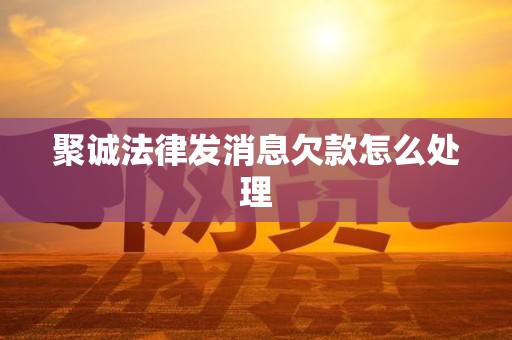 聚诚法律发消息欠款怎么处理