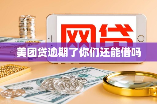 美团贷逾期了你们还能借吗