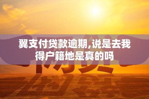 翼支付贷款逾期,说是去我得户籍地是真的吗