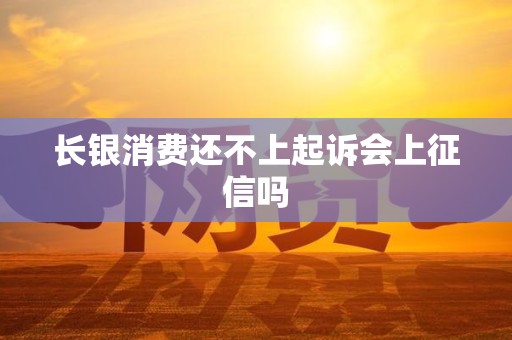长银消费还不上起诉会上征信吗