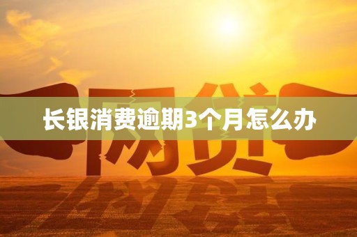 长银消费逾期3个月怎么办