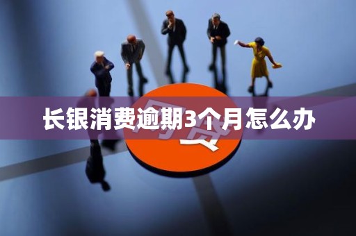 长银消费逾期3个月怎么办 长银消费逾期3个月怎么办