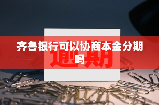 齐鲁银行可以协商本金分期吗