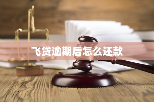 飞贷逾期后怎么还款