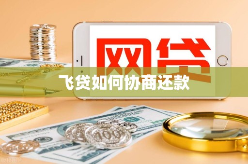飞贷如何协商还款