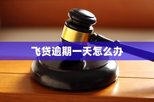飞贷逾期一天怎么办