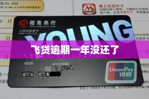 飞贷逾期一年没还了