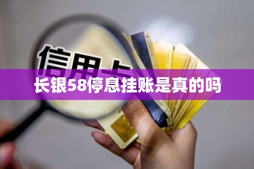 长银58停息挂账是真的吗