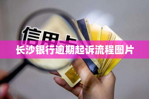 长沙银行逾期起诉流程图片