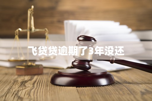 飞贷贷逾期了3年没还