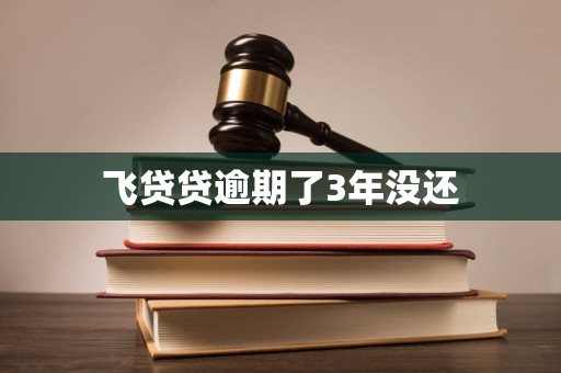 飞贷贷逾期了3年没还