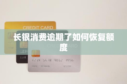 长银消费逾期了如何恢复额度