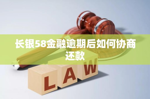 长银58金融逾期后如何协商还款