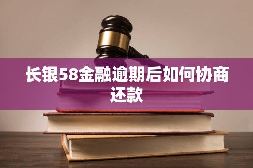 长银58金融逾期后如何协商还款